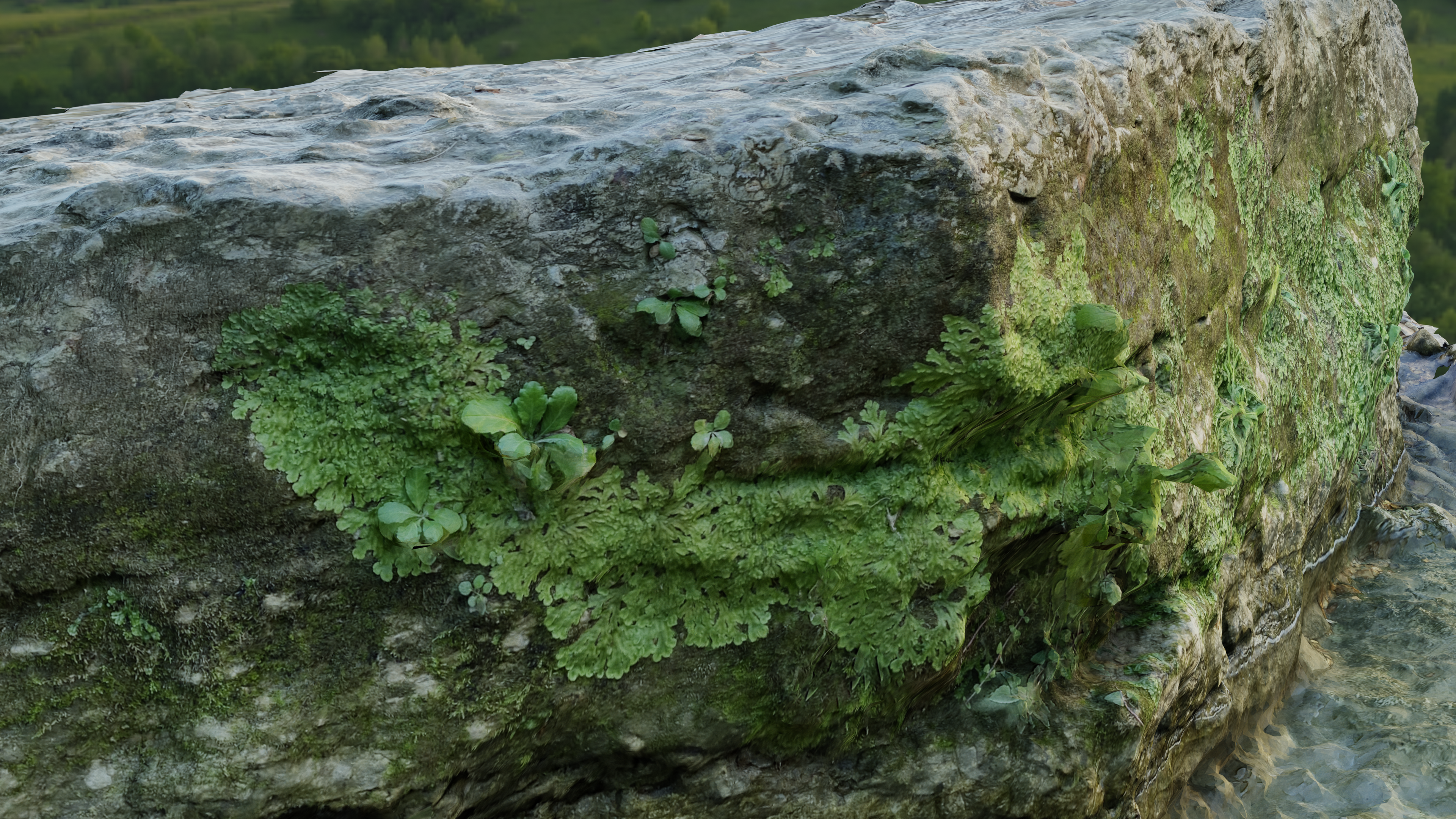 Mossy Rock - Photoscan preview image 4
